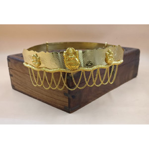 Hip Belt Design 13